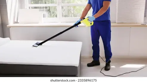 Bed bug exterminator