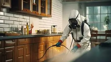 Pest control Brampton, Toronto, GTA & Beyond